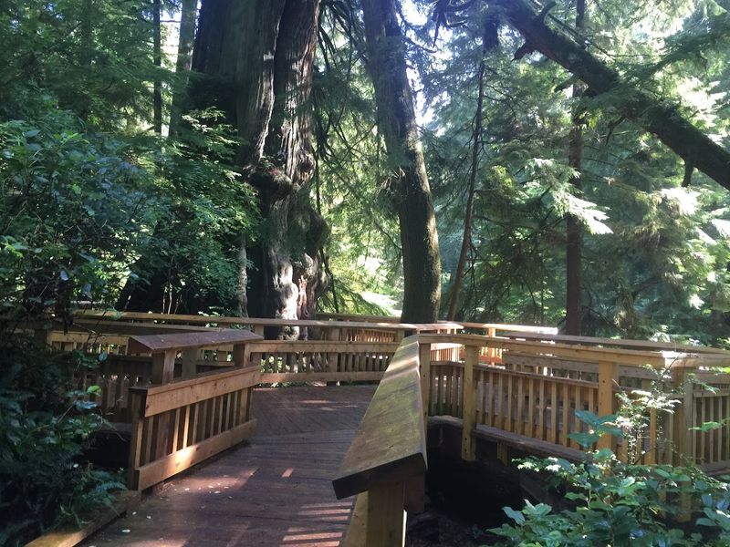 Built For Every Body, Not Just The Fit Ones