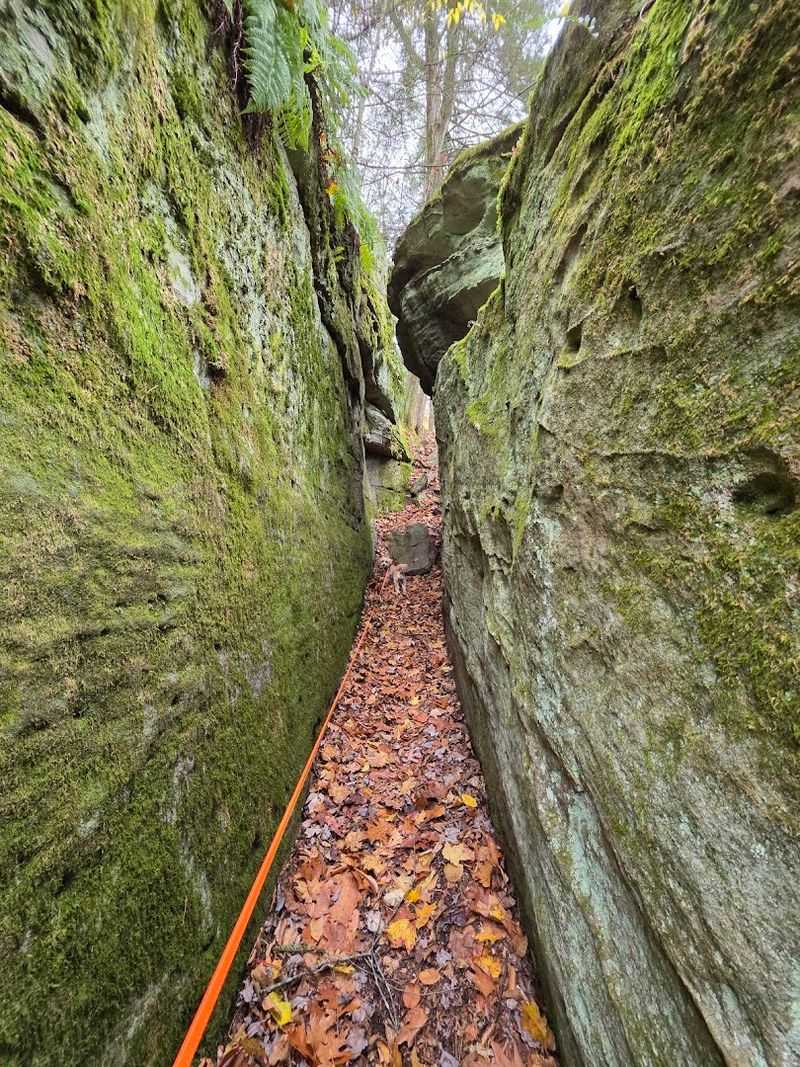 A Labyrinth You Actually Walk Through