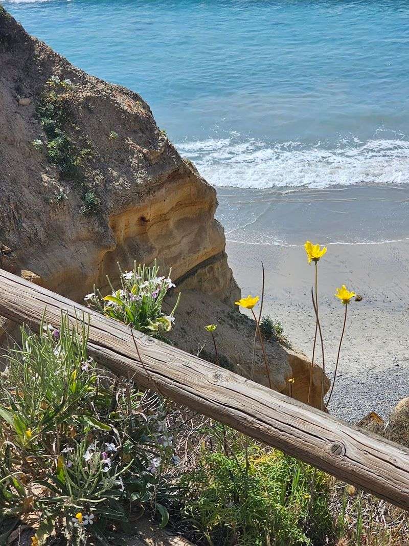 A Lesser-Known Overlook Along The Trail