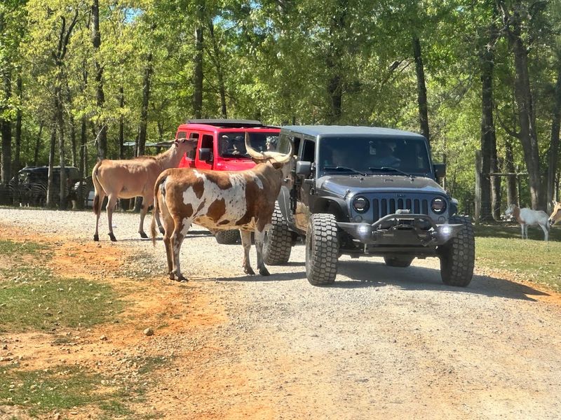 What To Know Before You Arrive