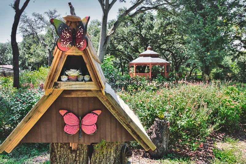 Best Times To Visit And What To Bring