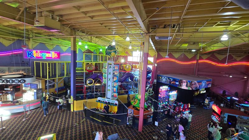 Bumper Cars For Laughs And Friendly Rivalry