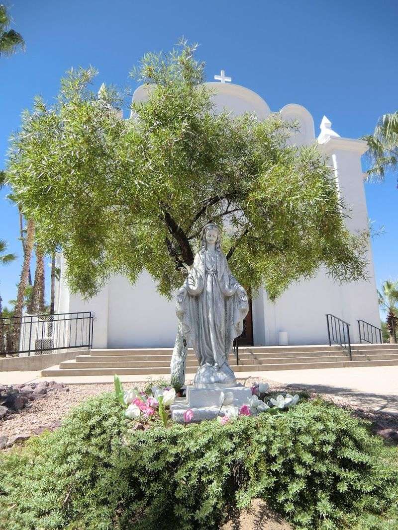 Birding Heaven In The Sonoran Desert