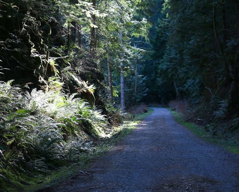 Why This Hike Deserves A Spot On Your Washington Bucket List