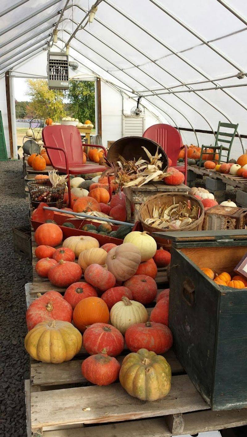 Seasonal Produce That Proves Local Really Does Taste Better