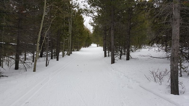 Snowshoeing Season Transforms The Whole Experience