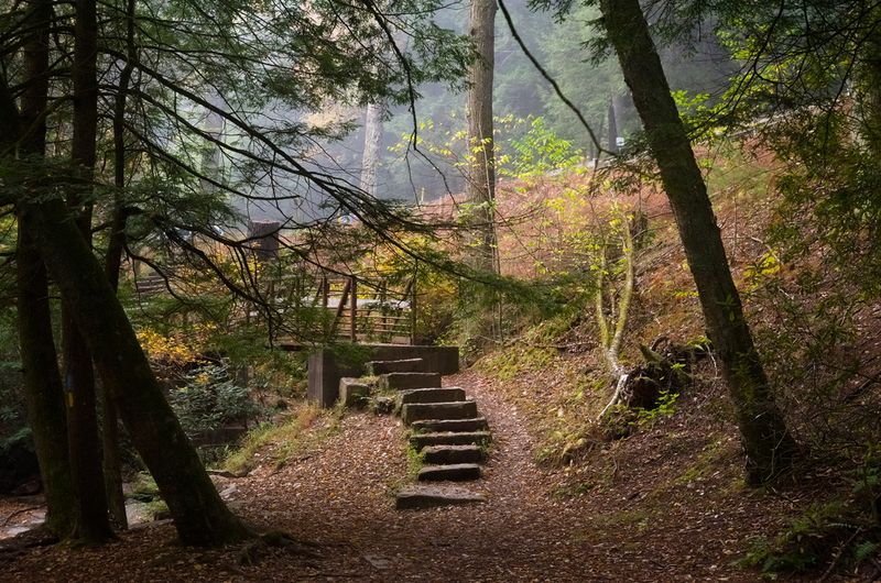Why Pennsylvania Should Be On Every Nature Lover's Map