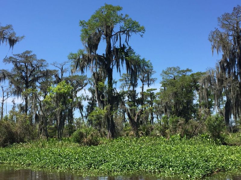 Best Times To Visit And What To Bring