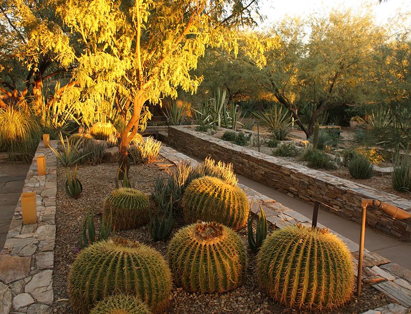 A Garden Born From Desert Passion