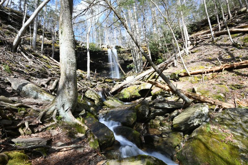 Wildlife You Might Spot Along The Way