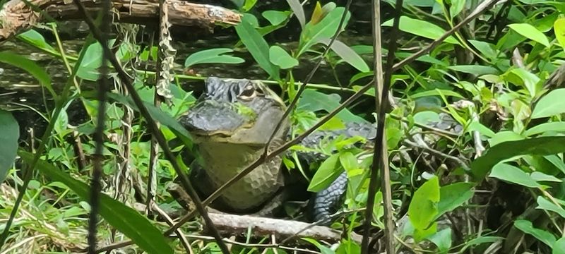 Getting There Without The Stress