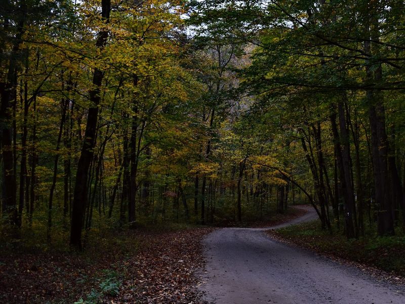 Hiking And Exploring The Surrounding Area