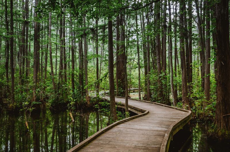 Why This Park Deserves Far More Attention