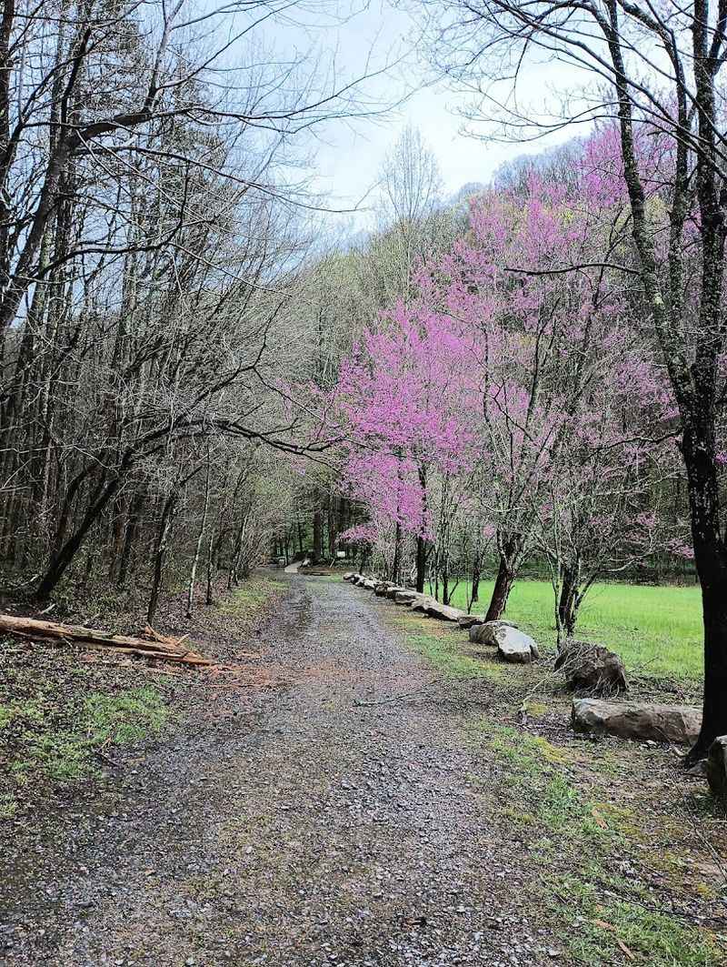 Practical Tips Before You Hit The Path