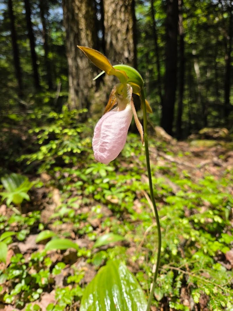 Why This Place Has Stayed A Local Favorite For Decades