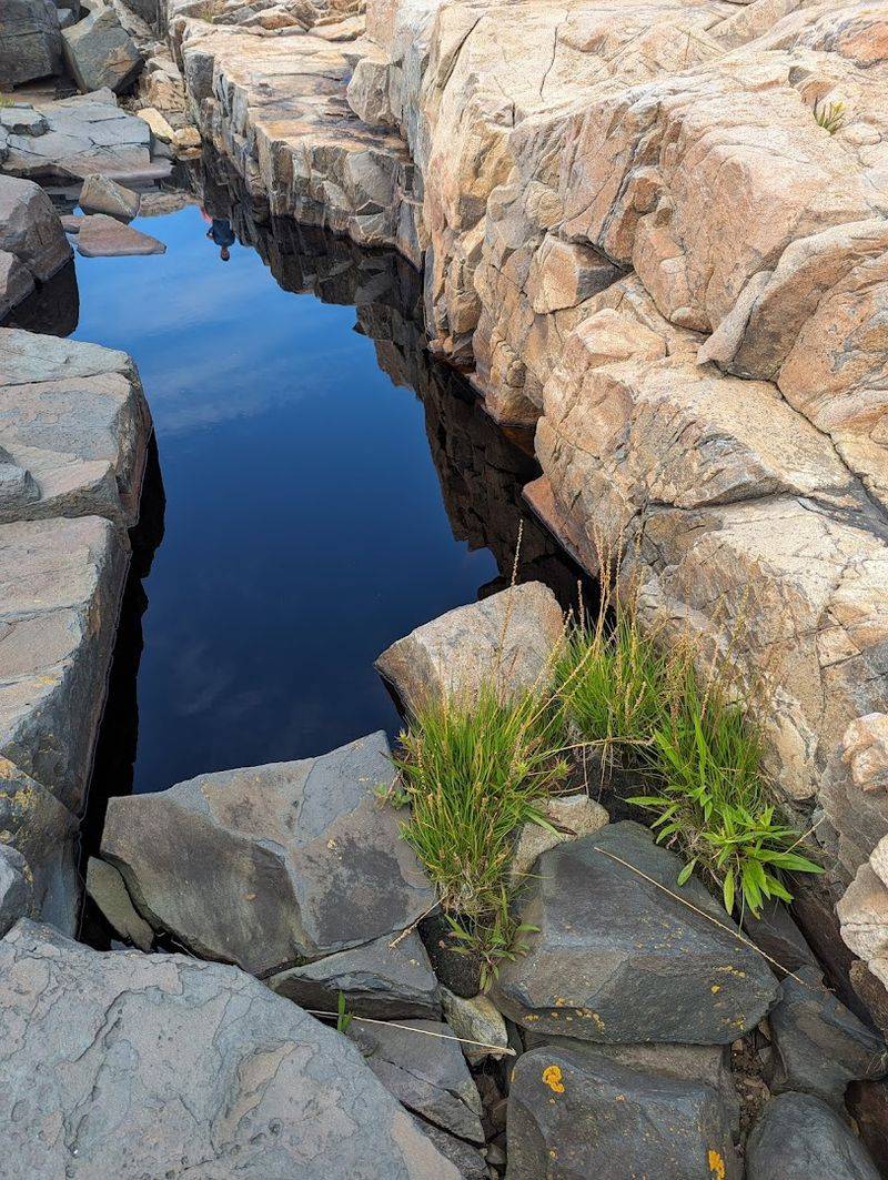 What Lives Inside These Rocky Pools