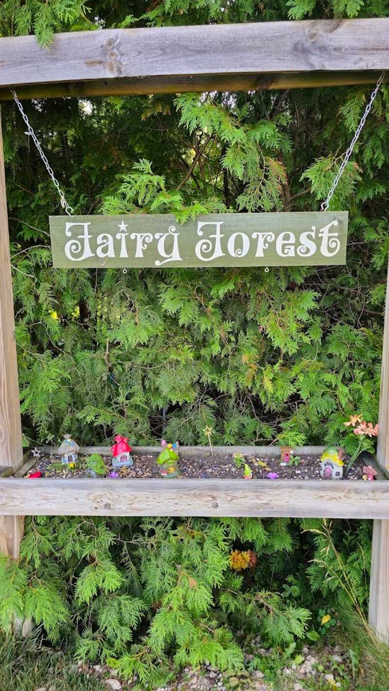 Photography Opportunities That Will Fill Your Feed