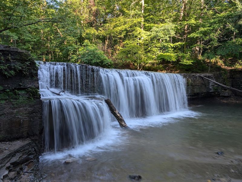 Photography Tips For Getting The Perfect Shot