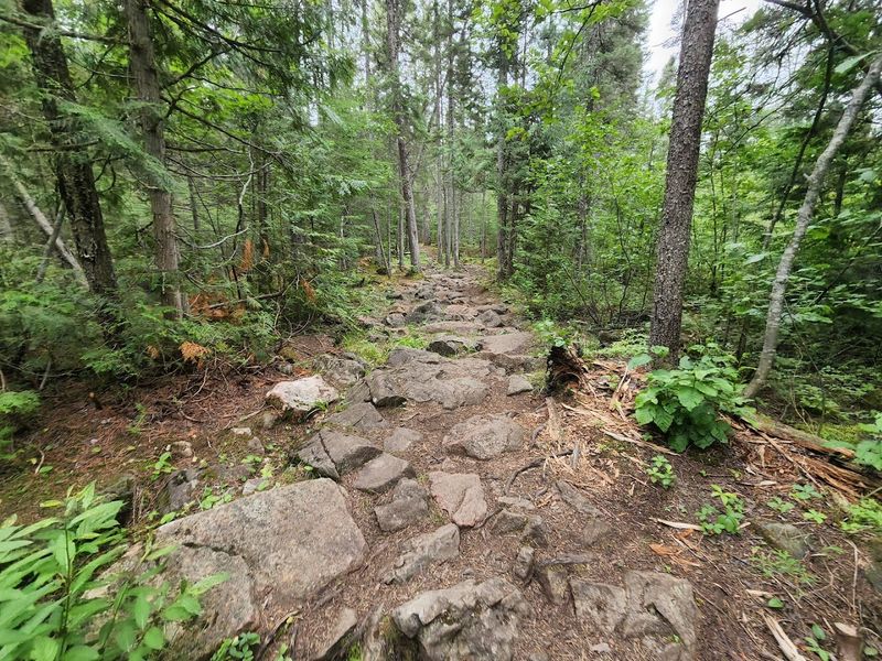 Rocky Terrain That Keeps You Focused