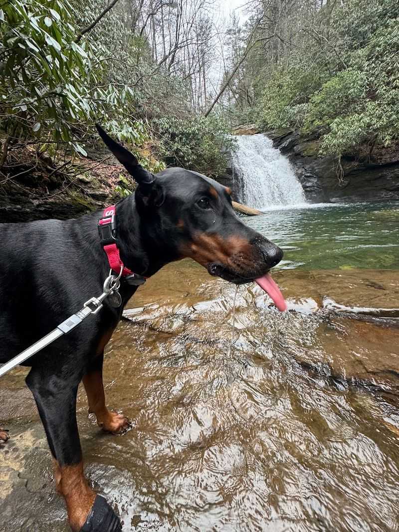 Camping Near The Trail