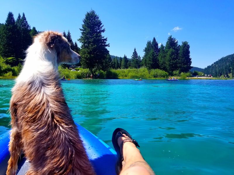 Paddling, Swimming, And Life On A No-Wake Lake