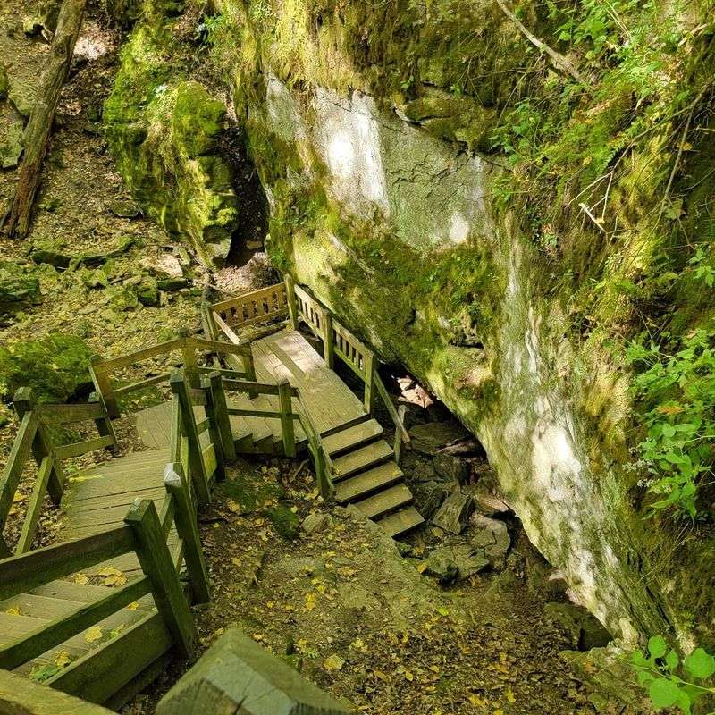 What Each Season Brings