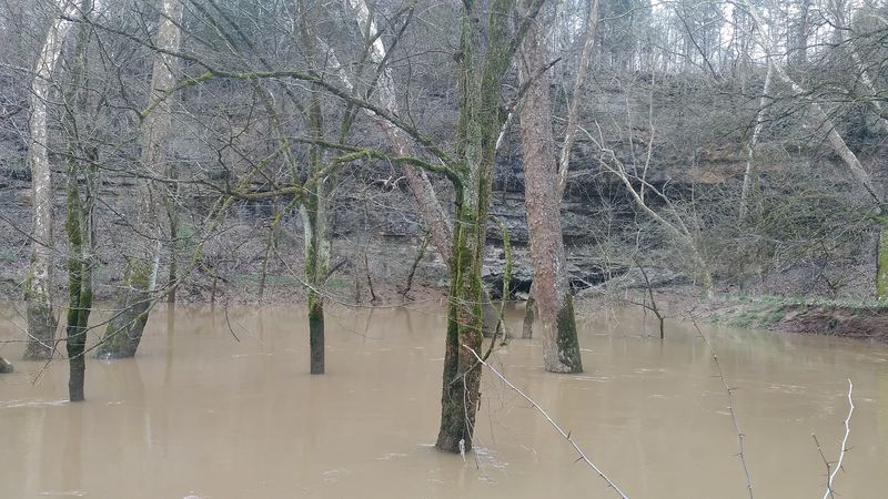 A Hidden Ecosystem Inside The Sinkhole