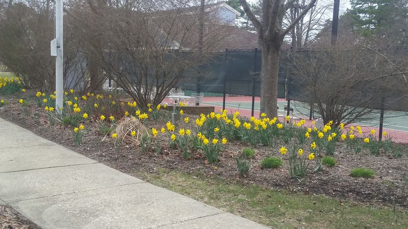 Outdoor Living That Makes Every Season Worth Celebrating