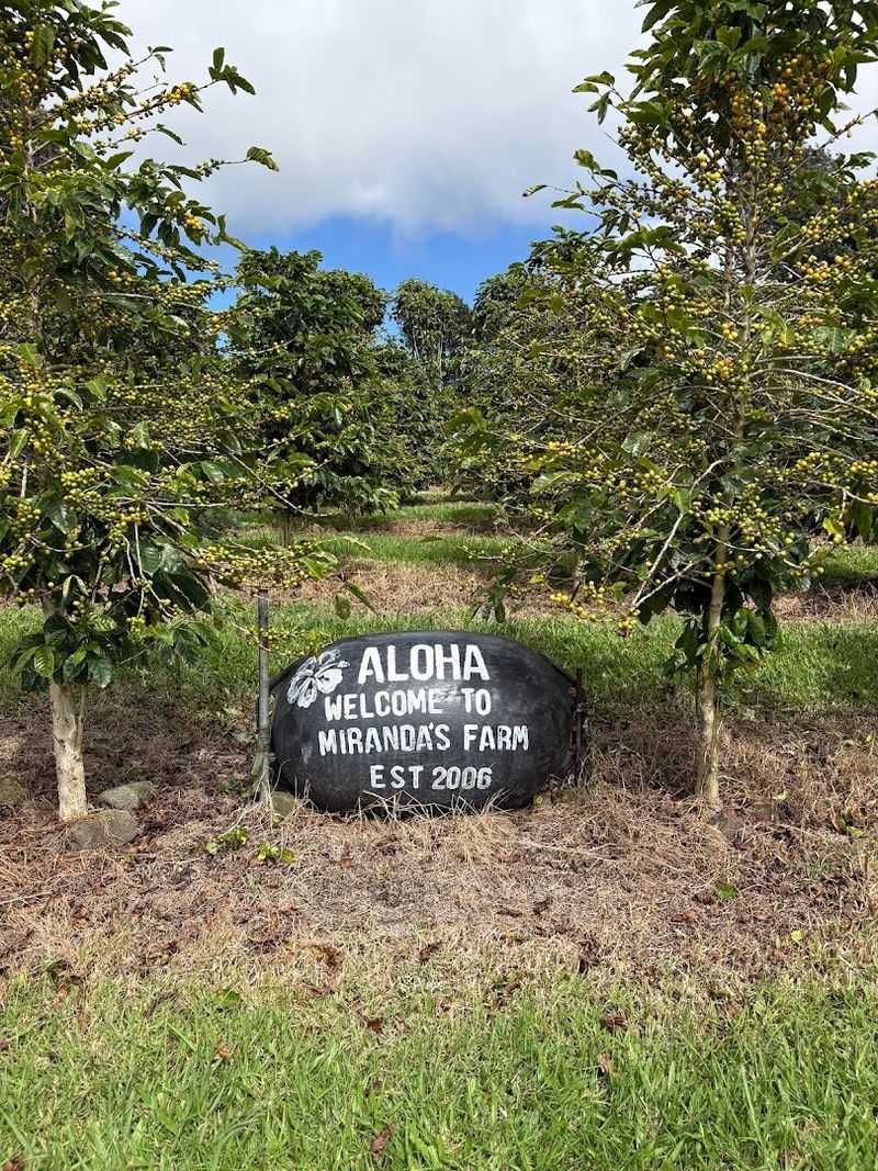 A Farm You Can Actually Walk Through