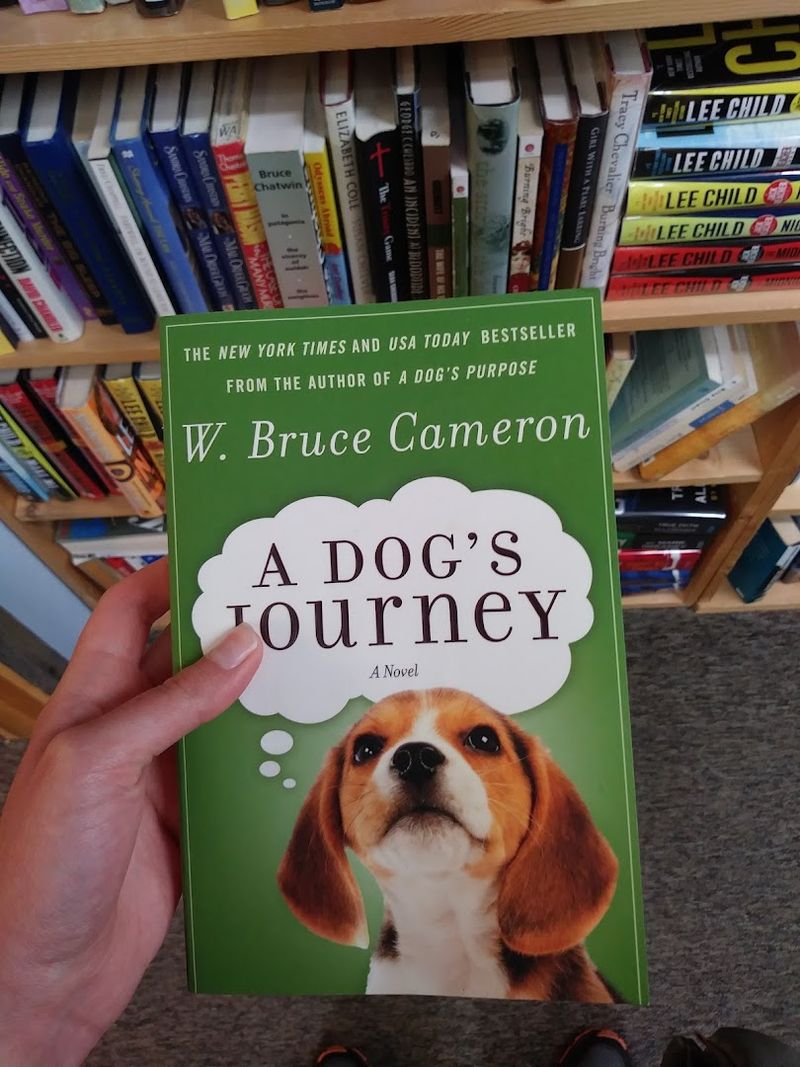 Hardcovers, Collectibles, And Hidden Treasures