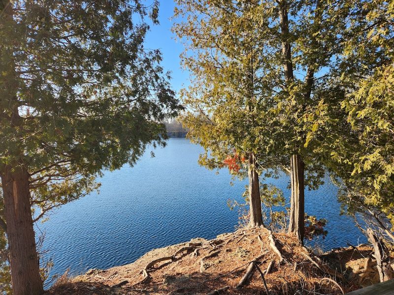 How Deep Does It Actually Go