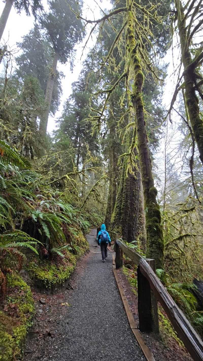 A Trail Built For Everyone