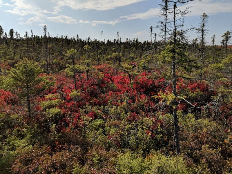 Visiting With Kids, A Natural Classroom
