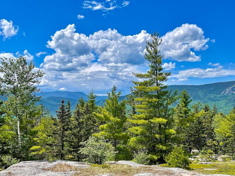 Best Times To Visit For The Full Experience