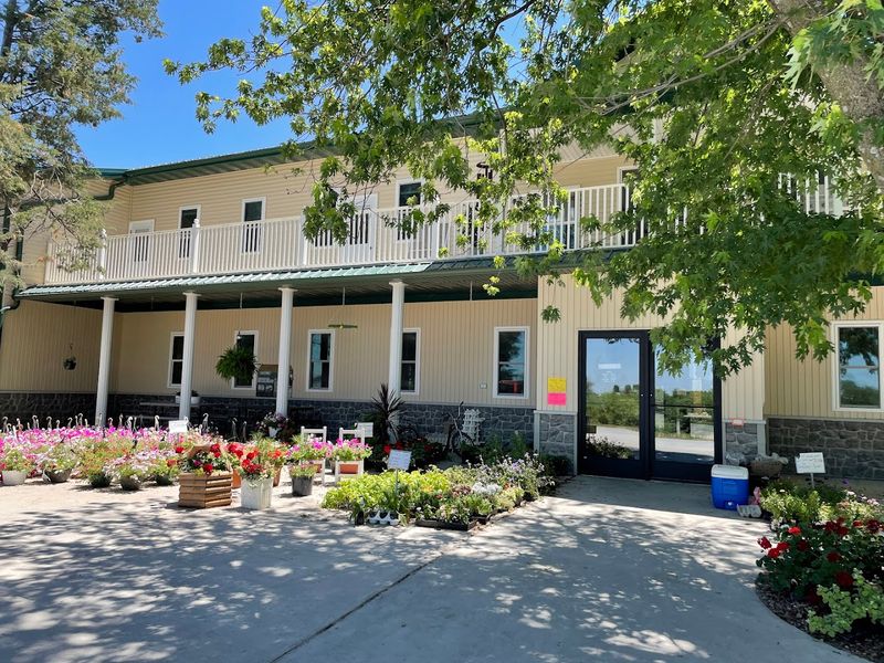 The Atmosphere Inside The Bakery Is Genuinely Calming