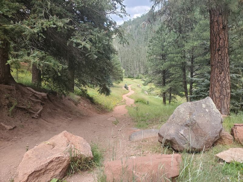 What To Pack For The Trip