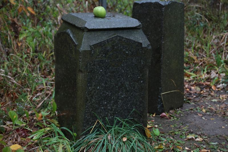 The Famous 1991 Photograph That Changed Everything