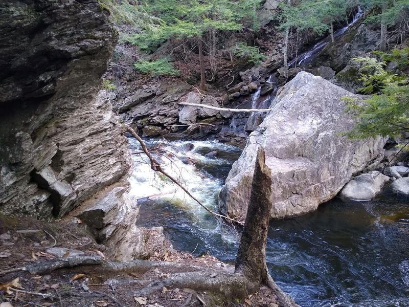 The Steep Path Down To The Water