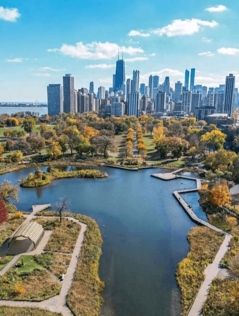 The Nature Boardwalk And The City Skyline View