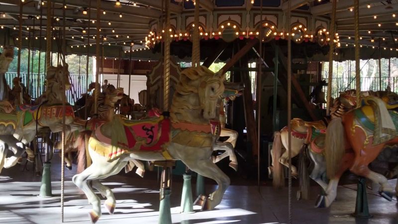 What Makes The Animals So Special