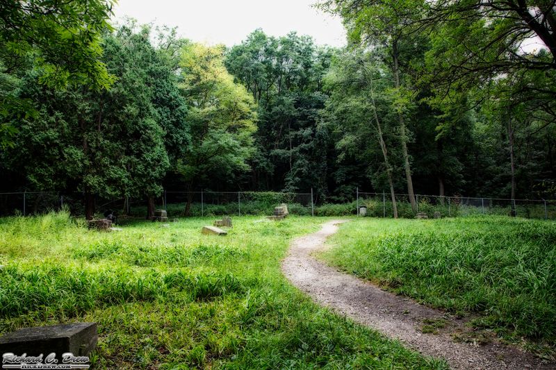 What The Overgrowth Actually Looks Like Up Close
