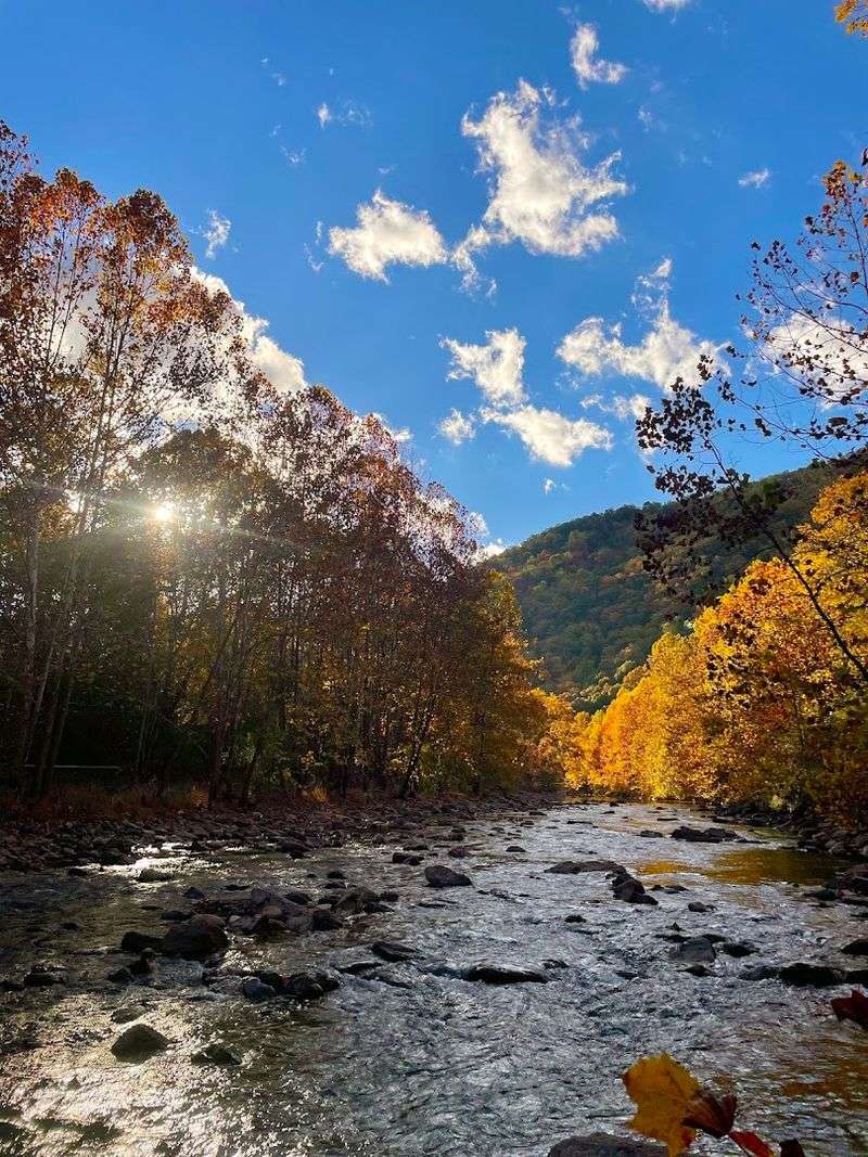 Wildlife That Reminds You Who Really Lives Here