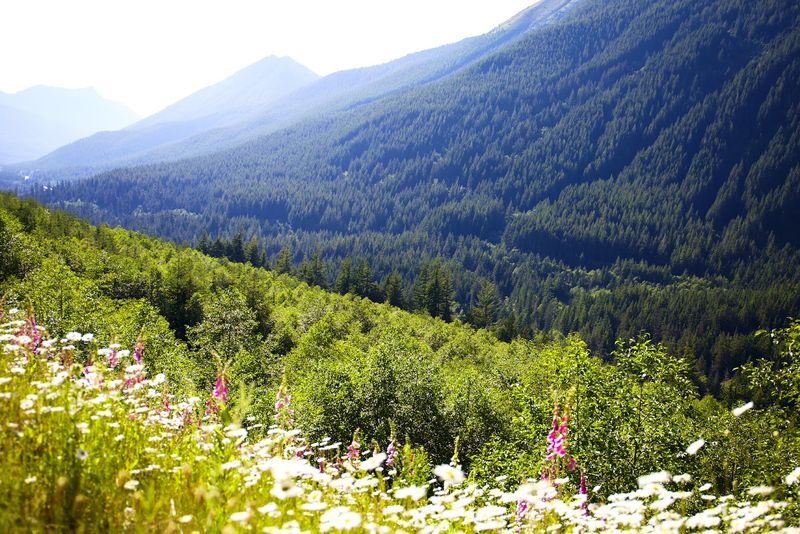 What The Surrounding Scenery Looks Like