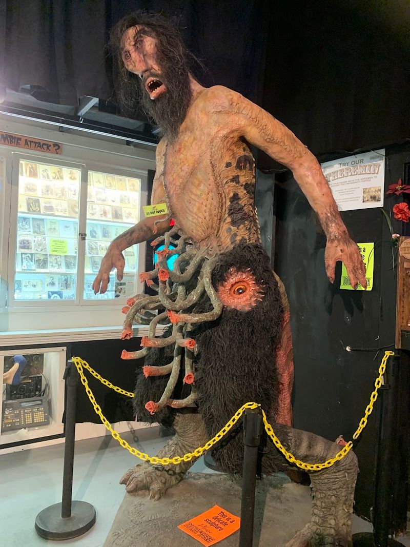 The Gallery Of Peculiar Art