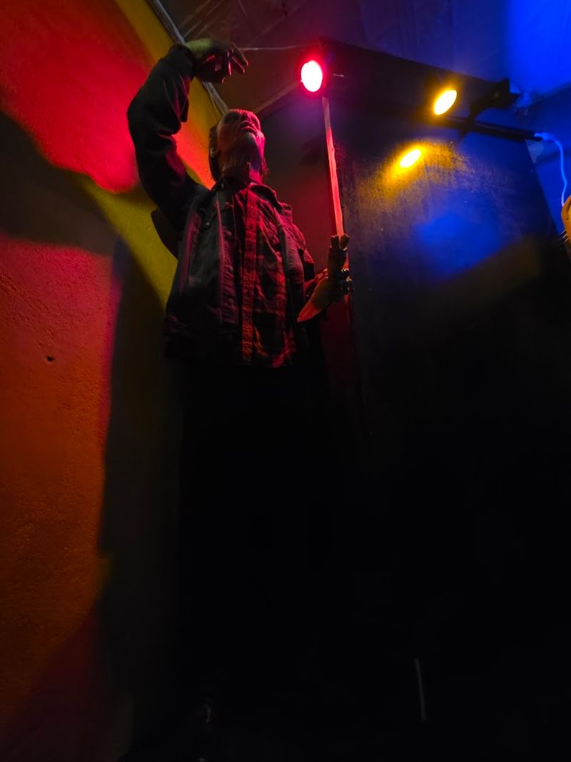 Live Sideshow Performances