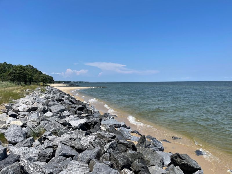 Whispers In The Dark That Nobody Can Explain