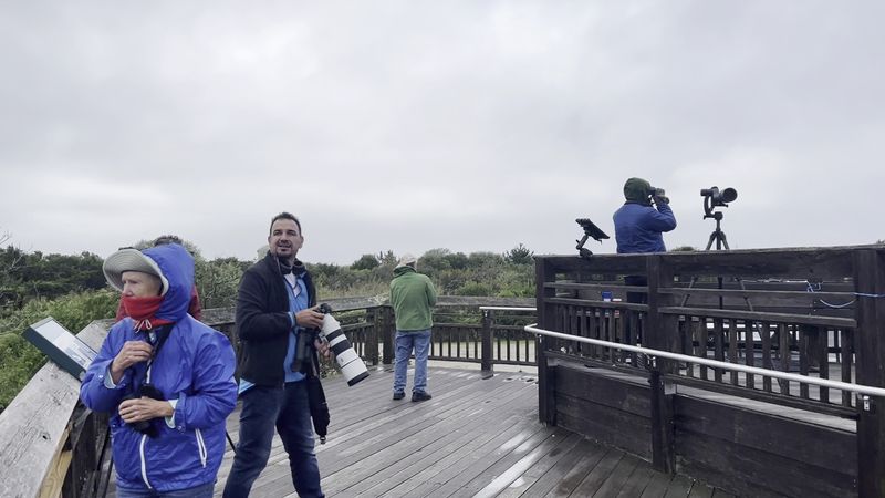 Timing Can Change The Whole Experience In The Best Way