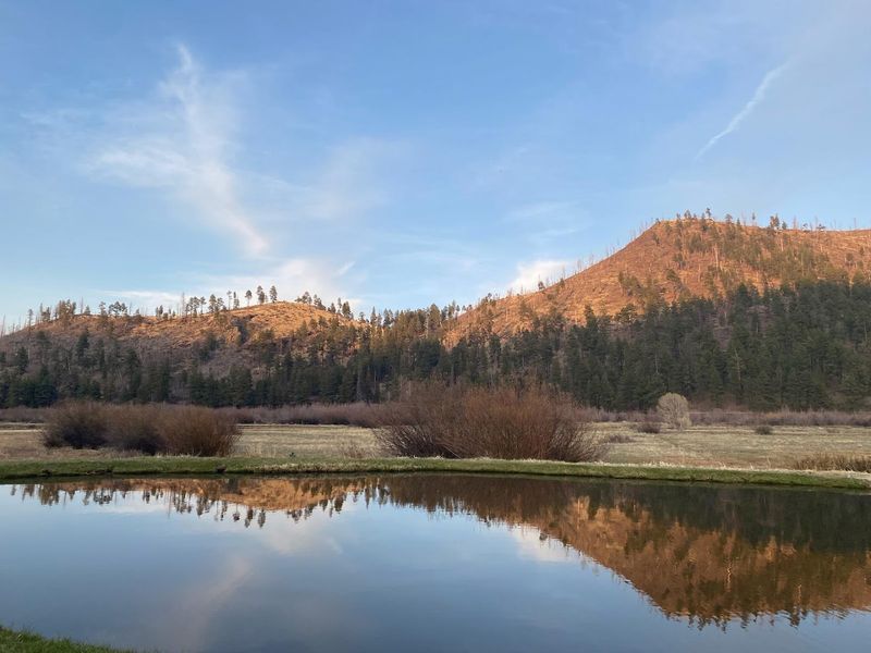 Fishing Culture That Feels Timeless