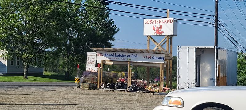 Boiled Lobster At A Price That Turns Heads