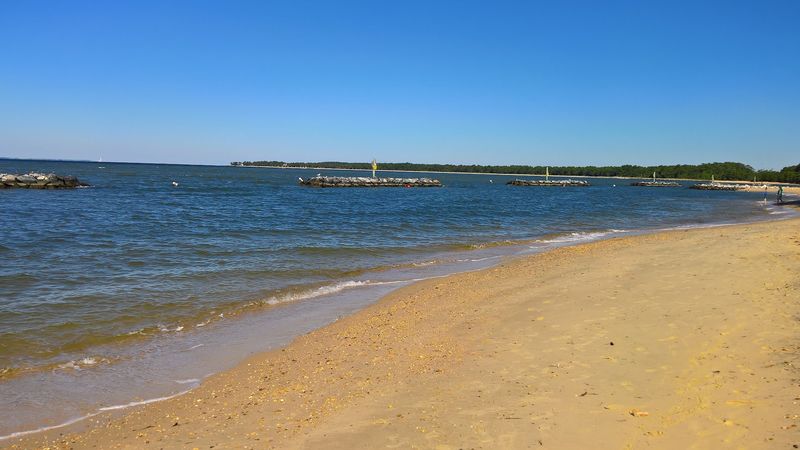 Mass Graves Beneath The Waterline